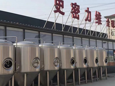 月湖精酿啤酒设备厂—如何判断精酿啤酒设备的密封件需要更换？